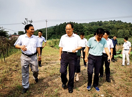 趙振華實地調研六國扶貧項目時要求    努力做強做優集體產業   帶動更多群眾脫貧致富
